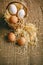 Eggs on hessian