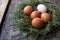 Eggs in the nest. Chicken eggs. Nest on a wooden background