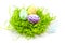 Eggs in the nest .Congratulatory easter background