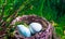 Eggs in a nest in green grass. The Easter Holiday concept