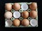 Eggs nutrition food shell hen clear yolk