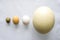 Eggs - ostrich, chicken and quail is on gray background in order of decreasing or increasing relative to size top view. Concept or