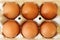 Eggs - Ovum - Egg price change