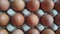 Eggs in a plastic box on a shelf in a supermarket