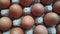 Eggs in a plastic box on a shelf in a supermarket. Close up of egg carton in a supermarket.