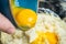 Eggs For Preparing Gnocchi alla Romana
