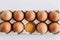 eggs protein yolk easter shell tray mockup