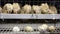 Eggs of quails in cages at poultry farm