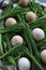 Eggs and Ramson on a table, wood garlic