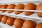 Eggs in refrigerator
