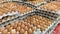Eggs stacked in rows. Pile of fresh brown eggs in cardboard boxes.
