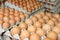 Eggs in stores are stacked together in large numbers.  Food shop business