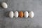 eggs on straight line with special orange egg