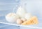 eggs and tasty dairy products: sour cream, cottage cheese, milk, cheese