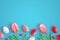 Eggs and tulip flowers on blue surface. Ladybug colorful eggs and decorations