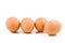 Eggs on white background