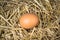 Eggs on wood background