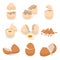 Eggshell icons set, isometric style