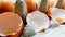 Eggshell on a tray in my kitchen close-up