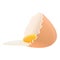 Eggshell yolk icon, cartoon style