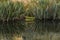 eglinton valley, mirror lakes along the way of milford road, new zealand.