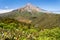 Egmont National Park with dormant stratovolcano Mount Taranaki in distance