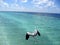 Egret on the beach