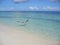 Egret on the beach