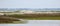 Egret feeding in Bogue Sound