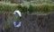 An Egret Flies over a Small Florida Lake