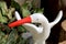 egret flying model in garden
