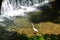 Egret at Kibune River of fresh verdure, Kyoto, Japan