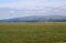 Egret Pilling Marsh, view to Clougha Lancashire