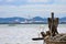 Egret is waiting prey in old fishing boat at seaside, nature