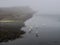 Egrets at Bodega bay estuary in the fog