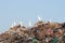 Egrets on the garbage heap