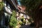 Eguisheim, colors in the houses and flowers in the windows