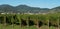 EGUISHEIM, FRANCE/ EUROPE - SEPTEMBER 24: View over a vineyard t