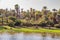 Egypt, Aswan, river nile, river bank, river side, cattle, farm, green, trees palm trees, landscape, beautiful, beauty