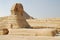 Egypt Cairo Sphinx of Giza 2007