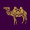 Egypt camel desert illustration animal nature travel sand
