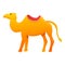 Egypt camel icon, cartoon style