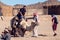 Egypt, Hurghada, 12 may 2019, beduins and tourits ride a camels in the desert