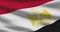 Egypt national flag footage. Egyptian waving country flag on wind