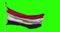 Egypt national flag waving on green screen. Chroma key animation. Egyptian politics illustration
