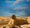 Egypt Pyramids Sphinx Full Body Profile Blue Sky