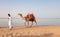 Egypt, Sharm El Sheikh - June 15, 2019: A camel owner, walking along the beach, is looking for a tourist to offer a camel ride. A