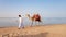 Egypt, Sharm El Sheikh - June 15, 2019: A camel owner, walking along the beach, is looking for a tourist to offer a camel ride. A