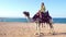 Egypt tourism with camel riding back, traditional entertainment