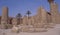 Egypt : Unesco World Heritage Tempel from  Amun-Re in Karnak near Luxor